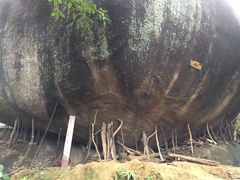-火炉山森林公园