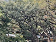-普陀山风景名胜区-法雨禅寺