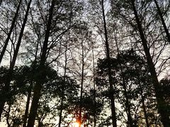 -前小桔亲子创意农场·草莓采摘·露营烧烤