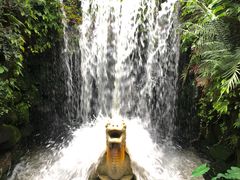 -深圳仙湖植物园