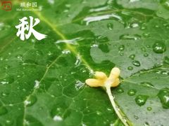 -颐和园