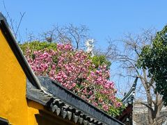 -王记姚家味·地道苏帮菜(凤凰街店)