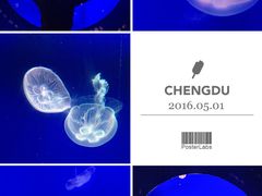 -成都浩海立方海洋公园