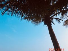 -深圳湾公园(南山区)