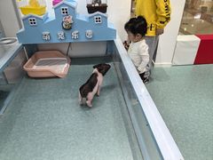 -万达广场(南京江宁店)