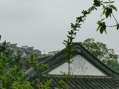 -芥子园