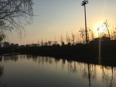 -新江湾城公园