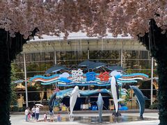 -海合安成都极地海洋公园