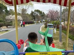 -昆山城市生态森林公园