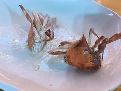 -舌尖上·霞浦滩涂海鲜·新闽菜(总店)
