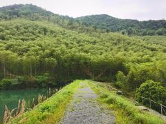 -莫干山风景区