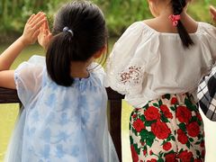 -樂桃源奉贤黄桃种植采摘基地
