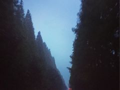 -黄海国家森林公园