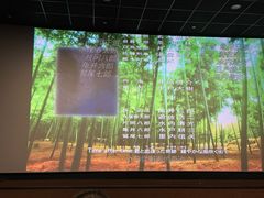 -SFC上影影城(港汇永华IMAX激光店)