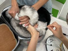 -汪喵宠物医院·骨科心脏影像·犬猫急重症ICU诊疗中心(成华分院)