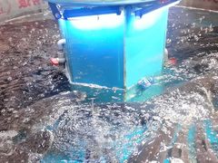 -魏铭鱼头捞饭(晋阳路店)