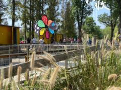 -前小桔亲子创意农场·草莓采摘·露营烧烤