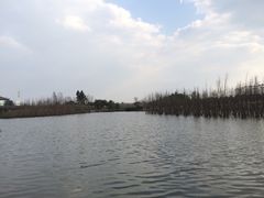 -白鹭湾湿地公园