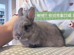 -爱诺耐芙动物医院(万博店)