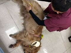 -美联众合动物医院·24h京西诊疗中心