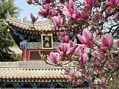-西安市广仁寺