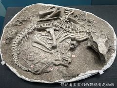 -国家自然博物馆