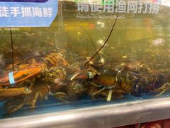 -盒马鲜生(大成店)