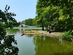 -东湖落雁景区