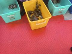 -蟹天蟹地农家菜·阳澄湖大闸蟹(浅水湾店)