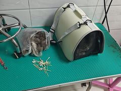 -利又安动物医院··老年病·猫科犬科·中兽医