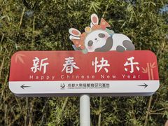 -成都大熊猫繁育研究基地