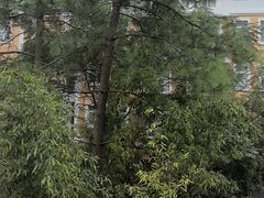 -庐山西海国际温泉度假村