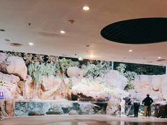 -上海海洋水族馆