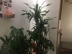 -拾光·小碗甜品