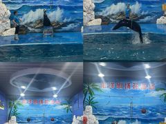 -左海海底世界