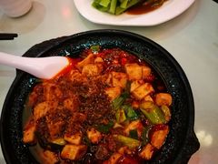 -陈麻婆豆腐总店