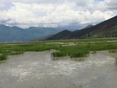 -泸沽湖国家级风景名胜区走婚桥