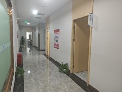 -碧莲盛·不剃发植发