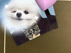 -天真蓝照相馆(龙岗万科里店)