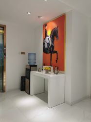 -MIVI野生眉纹绣纹眉