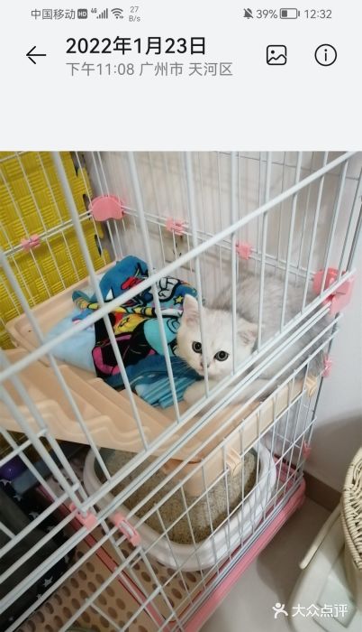 lincat·猫舍(广州店)图片