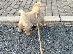 -联合动物医院(光谷诊疗中心)