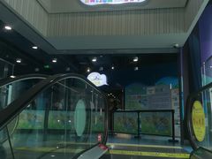 -中国宋庆龄青少年科技文化交流中心