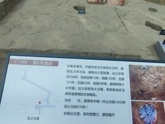 -金沙遗址博物馆