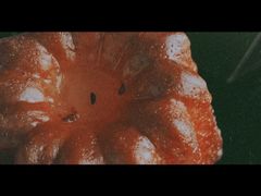 可露丽-福楼法餐厅FLO