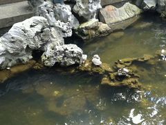 -普陀山风景名胜区-法雨禅寺