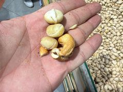 -石饮红星包子(中山路店)