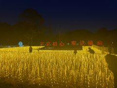 -句容茅山景区