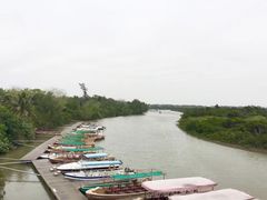 -东寨港红树林旅游区