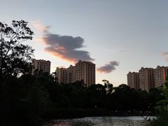 -秦云老太婆摊摊面(金色年华店)